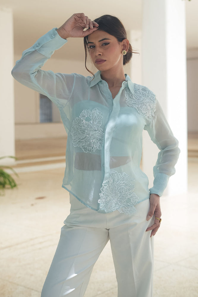 
                  
                    Powder Blue Applique Organza Shirt
                  
                